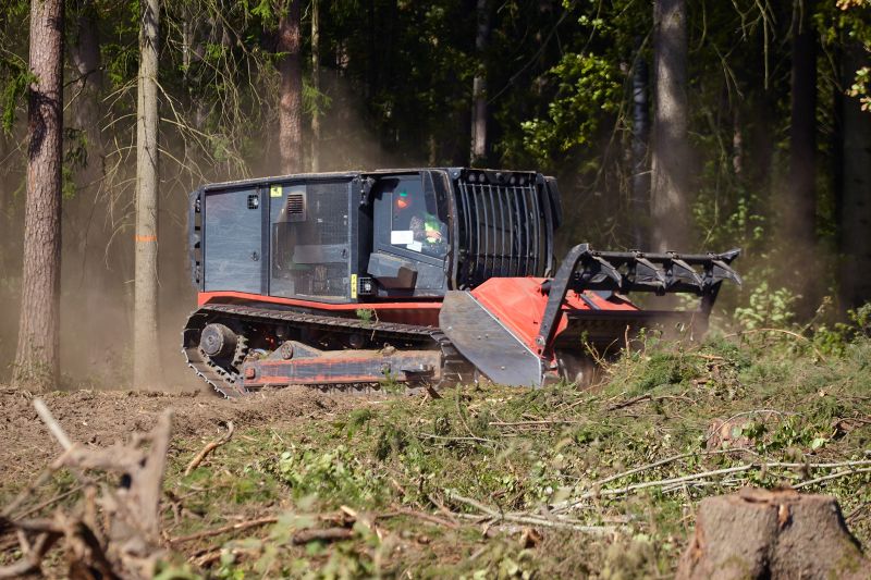 Forestry Clearing