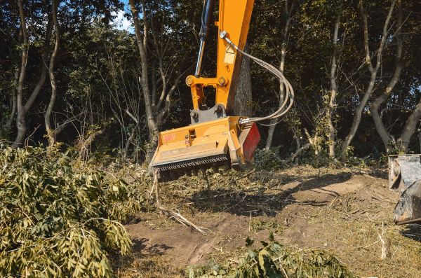 Brush Removal Service in Clovis